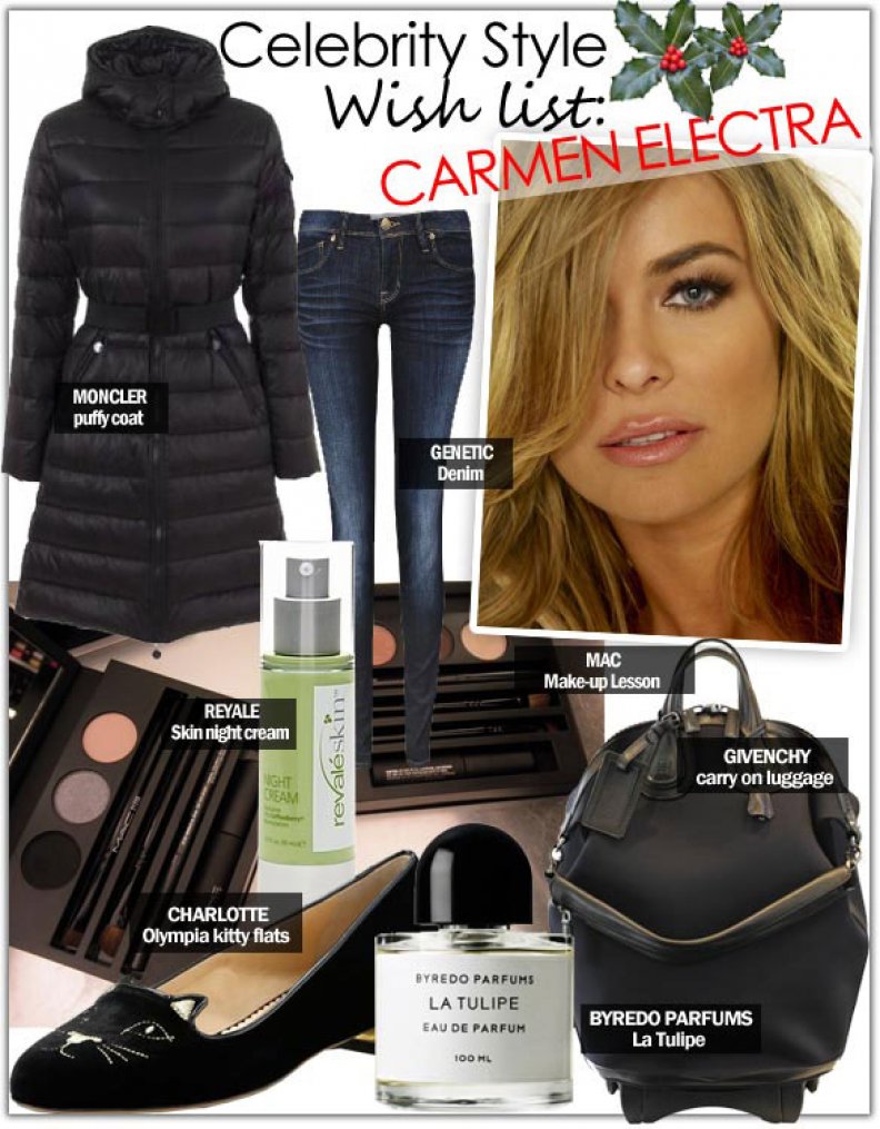 Celebrity Wish List: Carmen Electra